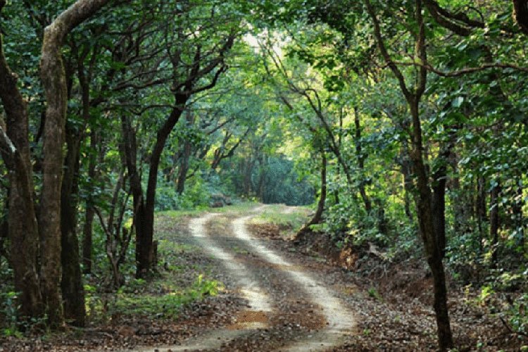 Radhanagari Wildlife Sanctuary